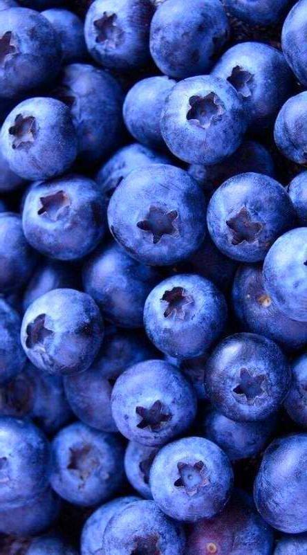 Rustic Berry Medley: Handpicked Sunrise Mix